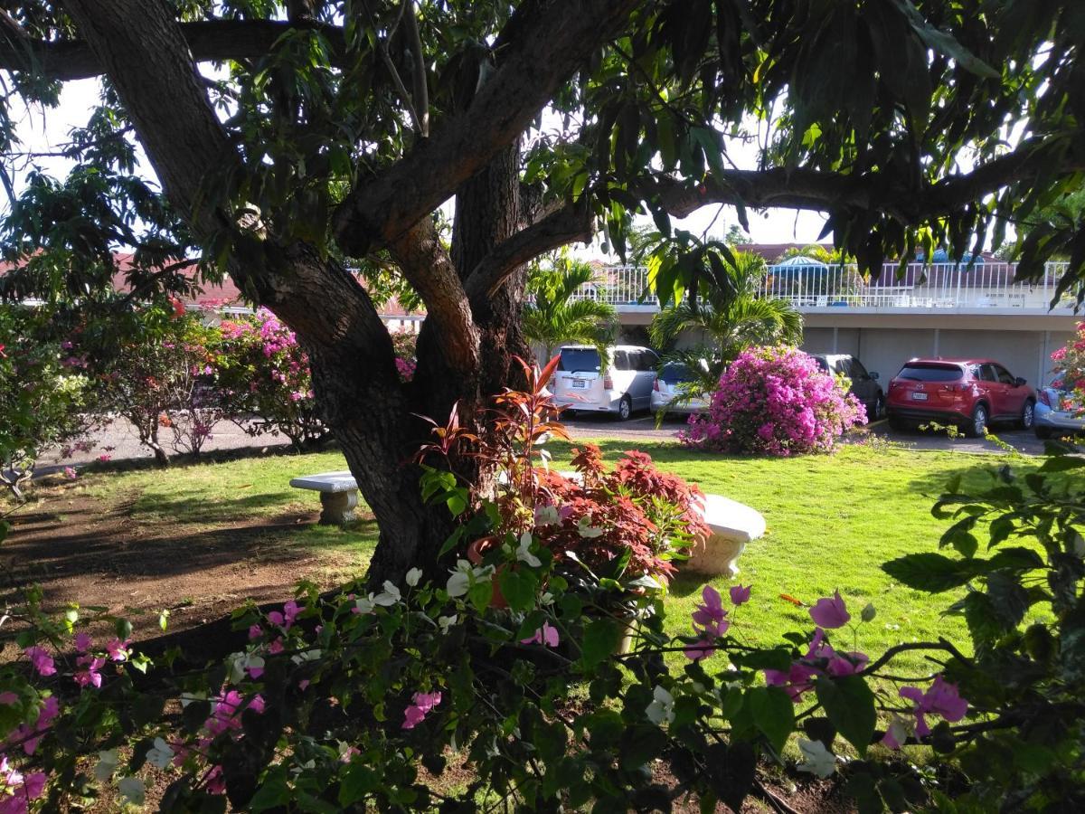 Ferienwohnung Irresistible View-Mobay Club 1408 Montego Bay Exterior foto