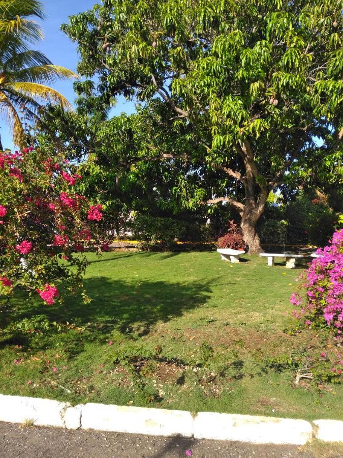Ferienwohnung Irresistible View-Mobay Club 1408 Montego Bay Exterior foto
